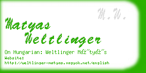 matyas weltlinger business card